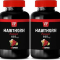 best antioxidant - HAWTHORN BERRY EXTRACT 665mg - natural 2 Bottles 120 Capsules