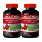 wellness formula - HAWTHORN EXTRACT - hawthorn men - 2 Bottles (120 Capsules)