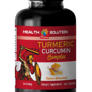antioxidant supplement - TURMERIC CURCUMIN COMPLEX 1B - turmeric curcumin