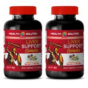 liver detox supplements - LIVER SUPPORT COMPLEX 1200MG 2B- milk thistle combinat