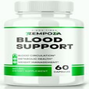 Zempoza Blood Support Pills for Healthy Blood Sugar and Pressure Levels 60ct