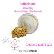 Wholesale 20000fu nattokinase powder bulk supplement natural natto extract