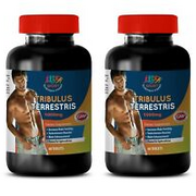 libido increase - TRIBULUS TERRESTRIS 1000MG 120 Tabs - tribulus pill 2B