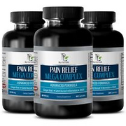 pain terminator - PAIN RELIEF MEGA COMPLEX 610MG 3B- antioxidant vitamins