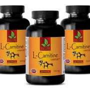 L-Carnitine 500mg w/ Vitamin B6 Muscle Endurance Recovery Energy 90 Tablets 3 B