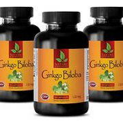 Ginkgo Biloba Tablets - GINKGO BILOBA EXTRACT 120mg - Anti-Aging Benefits 3B