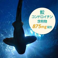 Fine Shark Cartilage Extract Grains 52 Days Supply 10 Grains/520 Grains Per Day