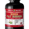 weight loss supplements - FAT BURNER 1B - garcinia cambogia pills