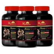 Natural immune support - NITRIC OXIDE 2400 Mg - 3B - increasing immune function