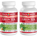 Make You Smarter - Green Tea Extract 300mg - Natural Green Tea Pills 2B