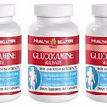 Weight loss natural - GLUCOSAMINE SULFATE 3B - msm glucosamine supplement