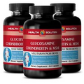 vitamin C supplement - GLUCOSAMINE CHONDROITIN & MSM - weight loss pills 3B