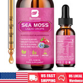 60ML Sea Moss Liquid Drops With Burdock Root ,Bladderwrack , Spirulina Powder