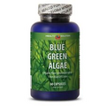 Chlorophyll Rich SuperFood - BLUE GREEN ALGAE 500mg organic 1 Bottle 60 Capsules