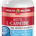 Acetyl L-CARNITINE - Boosts Cellular Energy - Transports Fatty Acids - 1 Bottle