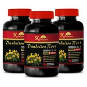 digestion aid - DANDELION ROOT 520MG - anti inflammatory natural 3B