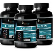 L-Carnitine 500 - L-CARNITINE 510MG - Protect Endothelial Cells 3B