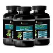 fiber supplement - ASPARAGUS EXTRACT 600mg - urinary tract support - 3 Bottles