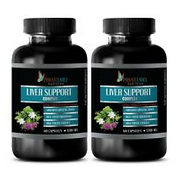 liver cleanse - LIVER SUPPORT COMPLEX - body detox - 2 Bottles 120  Capsules