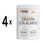 (1200 g, 96,87 EUR/1Kg) 4 x (ProFuel Creatine + Beta Alanine (300g) Unflavoured