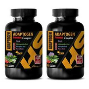 stress complex - ASTRAGALUS 770MG - immune system booster 2BOTTLE