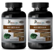 Fat burner natural ORGANIC BLUE GREEN ALGAE 500mg immune support supplement 2 B