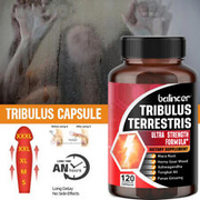 Tribulus Testosteron Booster Kapseln Muskelaufbau 30 bis 120 Kapseln