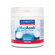 LAMBERTS Mag Asorb 180 Tabletten