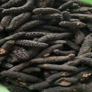 Dried Greece Sea Cucumber Seafood Post to the UK