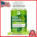 Sea Moss Gummies 1200mg Irish sea Moss raw Bladderwrack Burdock Root Skin Health