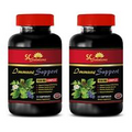 immune support herbs - IMMUNE SUPPORT - immune support capsules 2BOTTLE