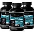 L Carnitine Tablets - L-CARNITINE 510MG - Muscle Tissue Repair 3B