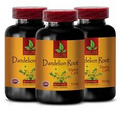 Antioxidant extract - DANDELION ROOT 3B - dandelion pills organic