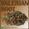 ✅ VALERIAN ROOT - Organic Herbal Tea - Valeriana officinalis QUICK POST