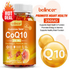 Coenzyme Q-10 250mg Antioxidant, Heart Health Support, Increase Energy & Stamina