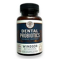 Windsor Dental Probiotics Mouth Health Windsor Botanicals, Mint flavor 45 Ct