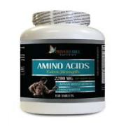 muscle building pre workout supplement - AMINO ACIDS 2200MG - post workout 1B