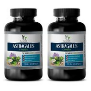 immune system activator - ASTRAGALUS COMPLEX - panax ginseng berry extract 2B
