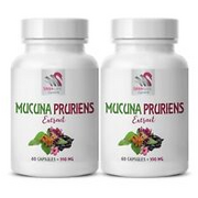 velvet beans dried - MUCUNA PRURIENS EXTRACT - mood support supplement for women