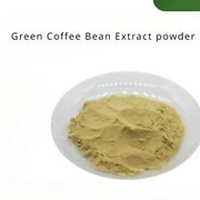 Green Coffee Bean Extract powder 50% Chlorogenic Acid 100g-500g non-GMO