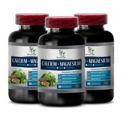 Muscle Recovery - CALCIUM MAGNESIUM COMPLEX - Tissue Repair - 3 Bottles 180