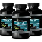 immune support sugar free - OLIVE LEAF EXTRACT - olive extract 500mg 3B