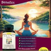 Body Mind Balance with DMAE Supports Added Attention, Focus, Energy, Memory USA