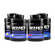 OutAngled Whey Excel Pro High Whey Protein Powder 2kg Creamy Formula