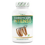 Cordyceps Sinensis Extrakt - 180 Kapseln - 650 mg - CS-4 - 40% Polysaccharide