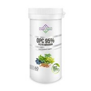 TRAUBENKERNEXTRAKT 95 % OPC 60 KAPSELN (450 mg) - SOUL FARM