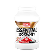 WHY SPORT ESSENTIAL 100% WHEY - Protein Whey - Proteinpulver für Muskelmasse - glutenfrei - Geschmack Cookies & Cream - 900 g