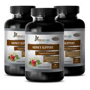 metabolism - KIDNEY SUPPORT - antioxidant powder - 3 Bottles (180 Capsules)