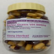 Barley Grass DH Herbal Supplement Capsules 120 Caps Jar