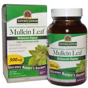Mullein Leaf Capsules 500mg x90 Mucus Relief Expectorant Chesty Cough Cold